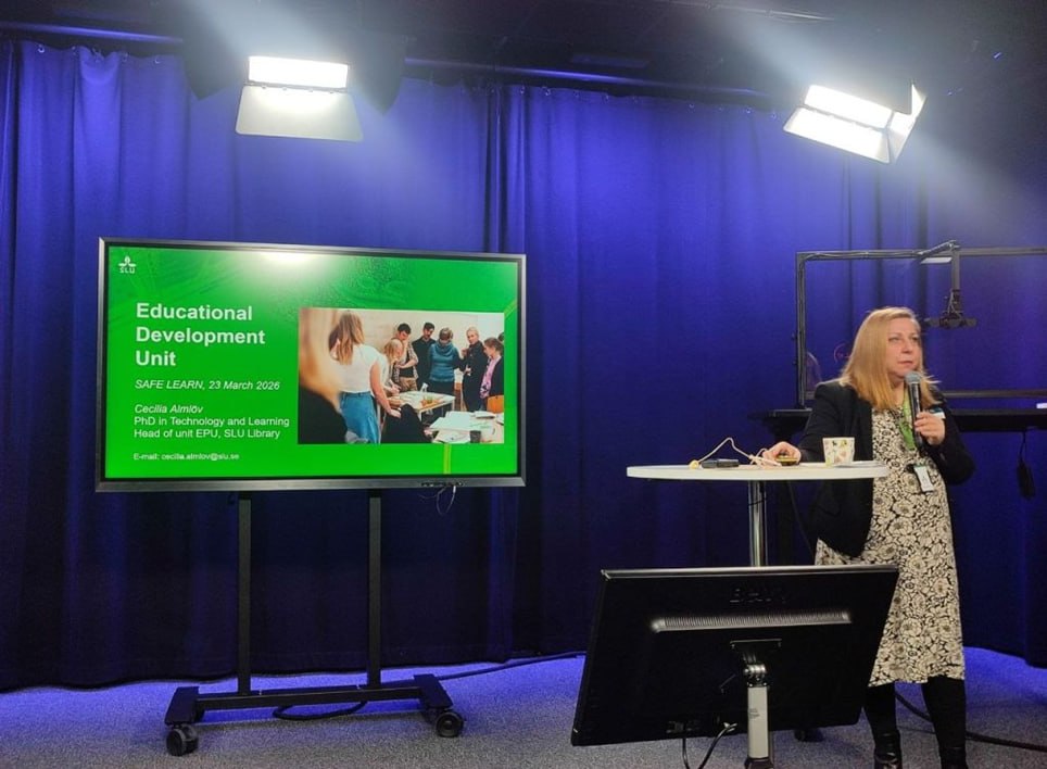 Міжнародна зустріч проєкту SAFE LEARN у Швеції